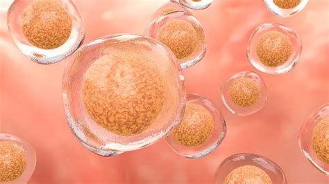 干细胞治疗脑梗死的应用和安全性的研究进展-杭吉干细胞科技