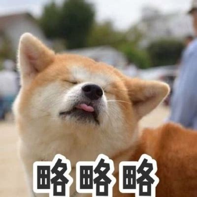 逗比搞笑图片