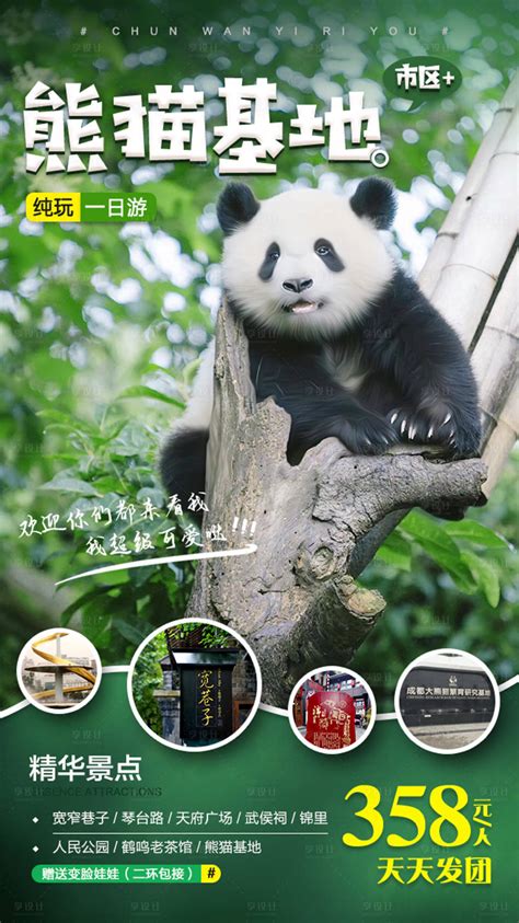 大熊猫介绍英文网页英语-HTML静态网页-dw网页制作