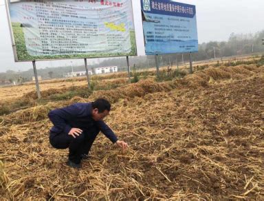 江夏区农业技术推广中心掀起秋冬种工作高潮-武汉市农业农村局