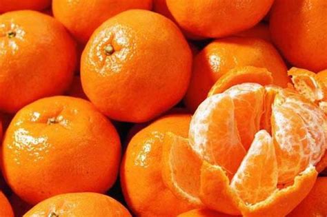 湖南哪里的橘子好吃？湖南八大特产橘子介绍 - 惠农网
