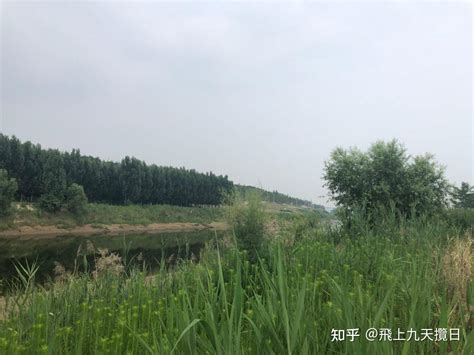 【陕西西安的一个县，人口近七十万，有着“中国猕猴桃之乡”之美誉| 说起猕猴桃】_傻大方
