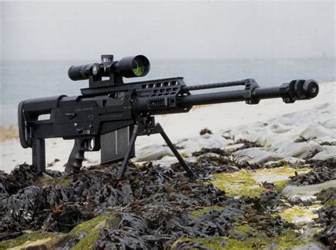 世界一流单兵利器，最著名的狙击步枪之一，M110狙击步枪实力果然不凡