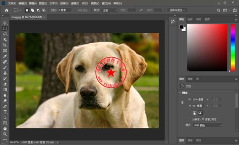 PhotoZoom Pro 7中如何批量处理图片？-PhotoZoom中文官网