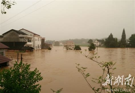 汉寿县多地遭遇暴雨突袭 各部门全力开展救灾工作 - 常德 - 新湖南