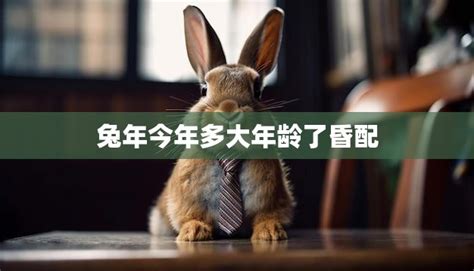 中秋节月兔卡通人物-快图网-免费PNG图片免抠PNG高清背景素材库kuaipng.com