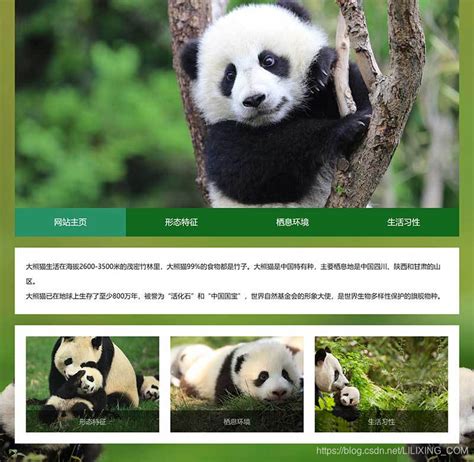 大熊猫学生网页设计模板 静态HTML动物保护学生网页作业成品 DIV CSS大熊猫野生动物主题静态网页_熊猫网页设计-CSDN博客