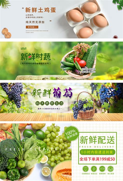 精美的有机食物果蔬网站模板html-17素材网