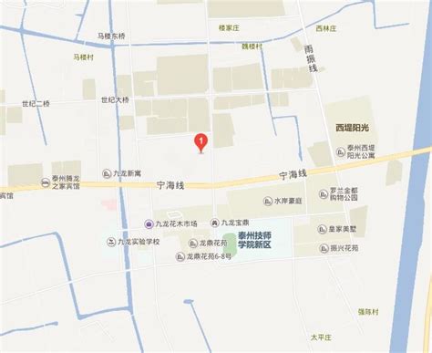 九龙镇政务服务网