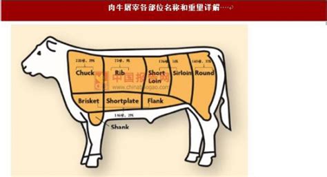 2017-2022年中国牛羊肉市场深度调查及发展趋势研究报告_智研咨询