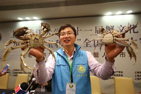 上海海洋大学第十一届蟹文化节暨2017年“王宝和杯”全国河蟹大赛举行