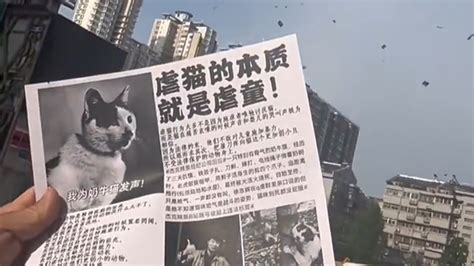 “杰克辣条”徐志辉虐猫被拘留，发道歉信承认错误，请大家再给他一次机会_腾讯视频