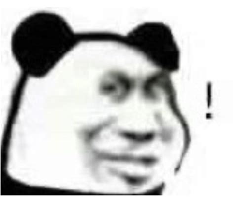 小熊猫表情包图片
