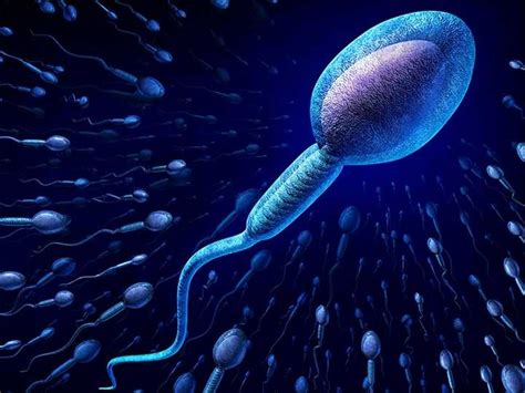 精子进入卵细胞受精过程演示动画视频素材下载_红动中国