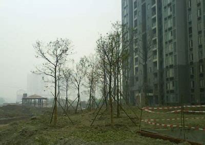 杭州一小区要掏2500万以上把楼栋外立面全部换铝板，但这钱，居民一分都不用出！|小区|外立面|业主_新浪新闻