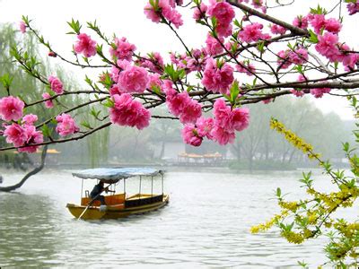 湖边的美人蕉花开春色图片高清图片下载_红动中国