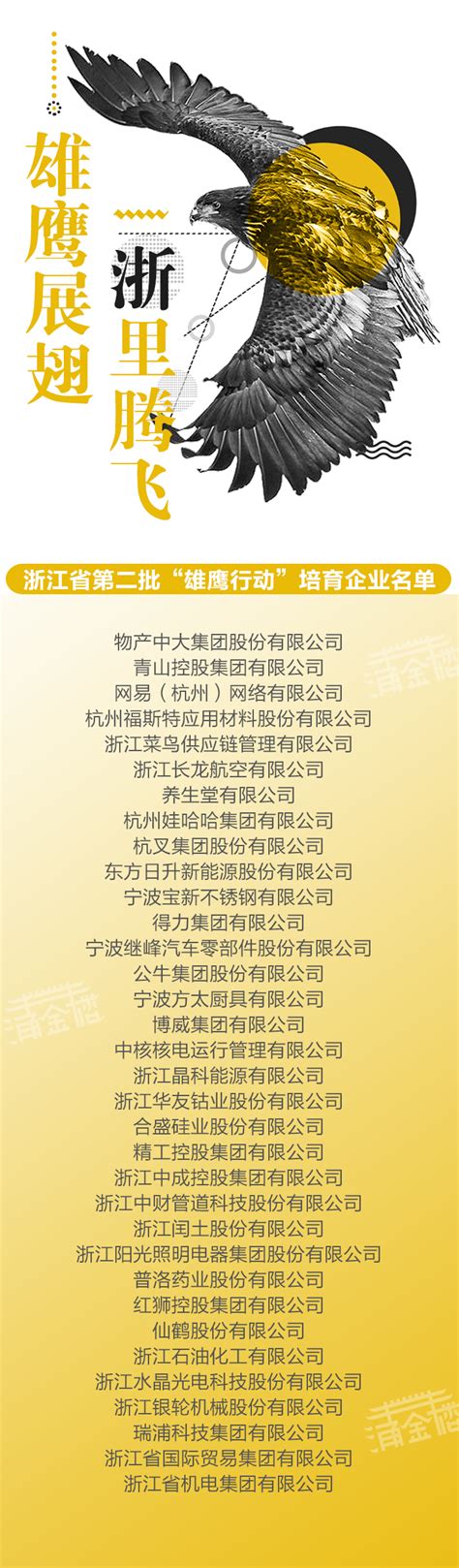 浙江公布第二批“雄鹰企业”培育名单 共34家_杭州网