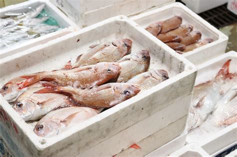 在鱼贩户外海鲜市场出售的一堆新鲜鱼高清图片下载-正版图片505817520-摄图网