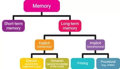 怎样才能快速提高记忆力 如何才能提高记忆力呢_知秀网