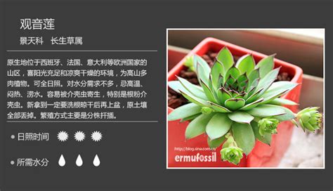 植物图片名称,植物介绍及图片,植物百科大全_大山谷图库