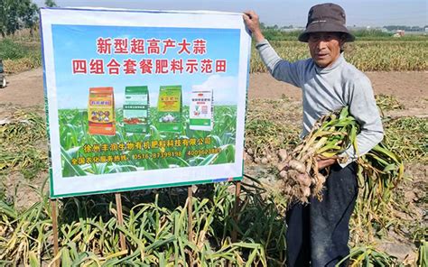 新型超高产大蒜四组合套餐肥料示范田-徐州丰润生物有机肥料科技发展有限公司
