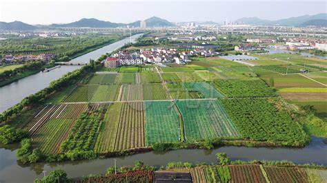 杭州年租3.8万的农村别墅与宁波年租5万的农村平房，哪个更好？|公众平台|浙江|农村_新浪新闻
