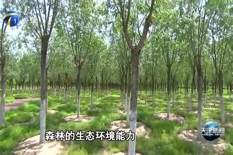 生态宜居 | 生态屏障让京津冀实现绿色深呼吸_建设