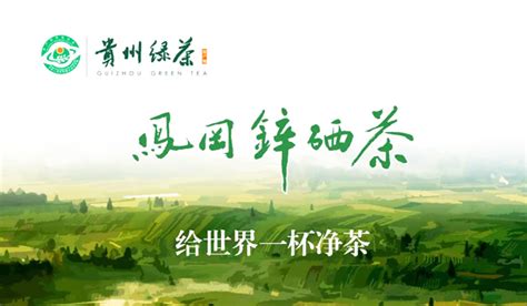 傅传耀在山东线上茶博会直播推介贵州春茶凤凰网安徽_凤凰网