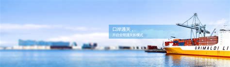 宁波保税区跨境电商进口模式探析