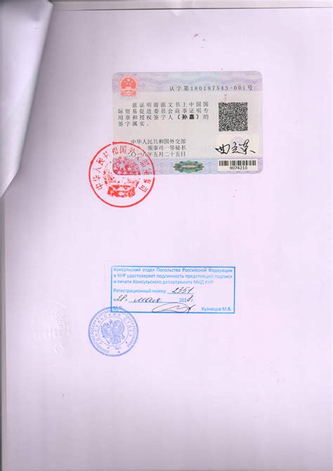 亲属关系公证书俄罗斯大使馆认证签章（详细流程）-指点网
