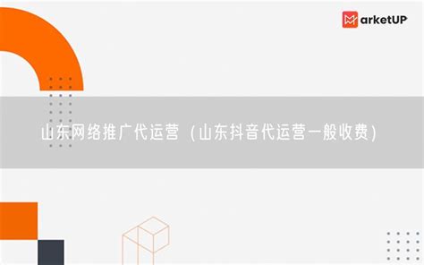 国内网络推广代运营-首页（广州）营销策划有限公司