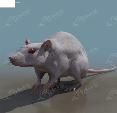 《爱死机3：梅森的老鼠》人鼠大战