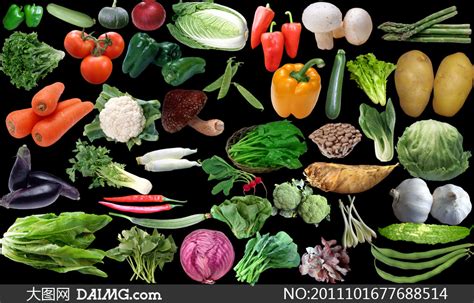 蔬菜图片大全素菜,蔬菜图片大全种类,蔬菜名称大全和图片_大山谷图库
