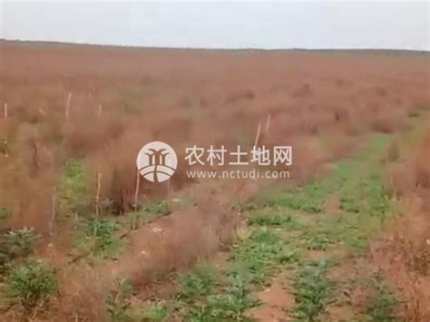 内蒙古呼伦贝尔市莫力达瓦达斡尔族自治旗361亩耕地转让- 聚土网