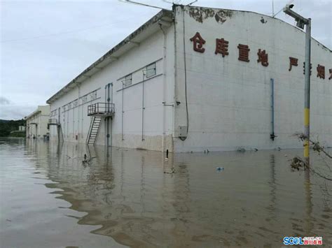 长江重庆段洪水水位破1981年历史极值 直击“看海”现场-图片频道