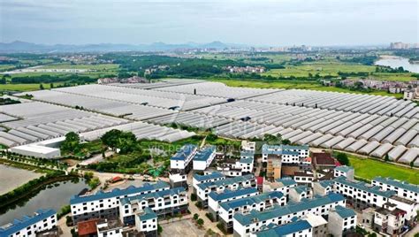 [再生资源联盟]再生资源产业联盟积极协助江西丰城循环经济产业园成为国家首批绿色产业示范基地