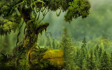 奇幻森林图片素材-正版创意图片400786332-摄图网