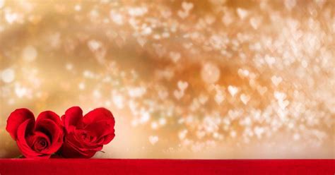 红色玫瑰花图片-红色桌面上的两朵玫瑰花素材-高清图片-摄影照片-寻图免费打包下载