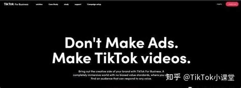 TikTok广告投放有哪些优势