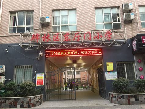 东门小学学校简介- 上海市崇明区人民政府