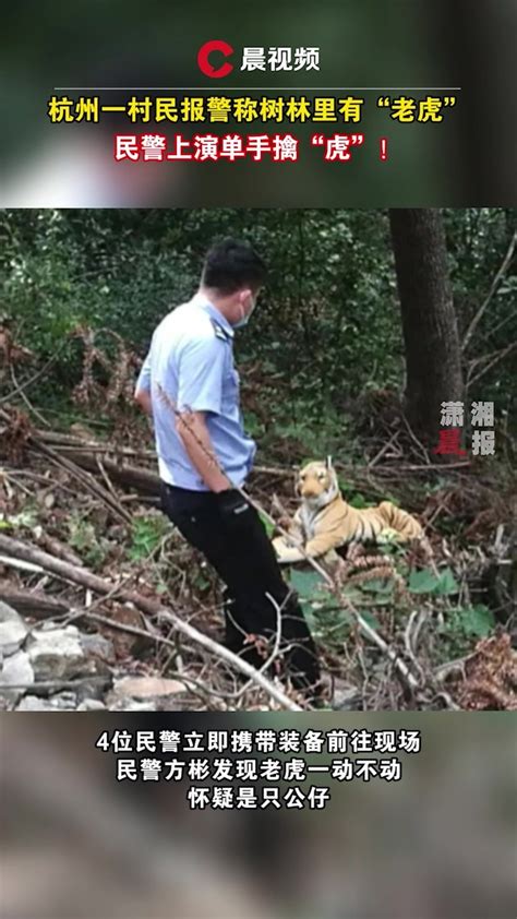 杭州一村民报警称树林里有老虎！民警：我一只手就抓到了_凤凰网视频_凤凰网
