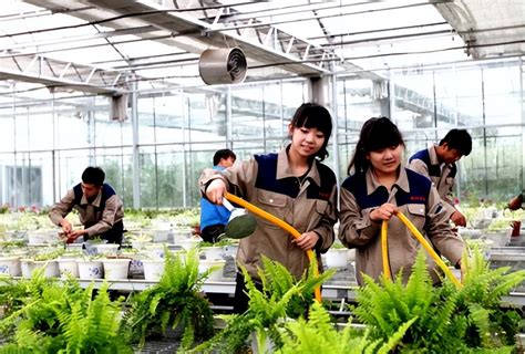 中国未来农业发展方向分析【图】_智研咨询