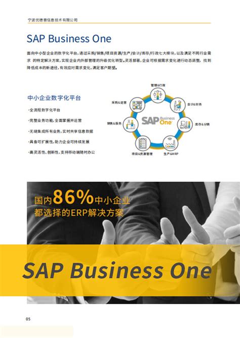 sap business one下载-sap business one 9.1下载v9.1 水晶报表版本-绿色资源网