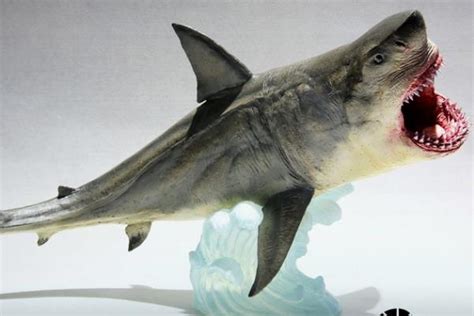 世界上最凶残的鲨鱼之一：噬人鲨会袭击人类_巴拉排行榜