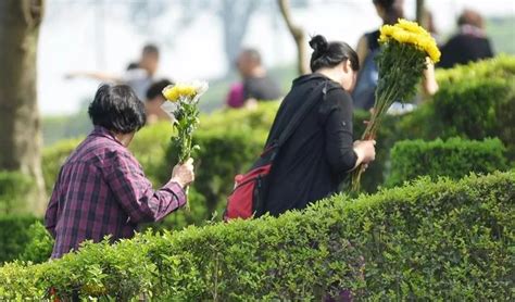 历史上，中国那么多人都实行土葬，为何现在没感觉有那么多坟墓？