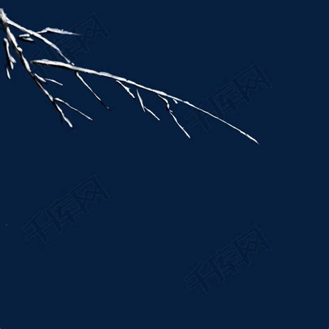 冬季干枯树枝素材图片免费下载-千库网