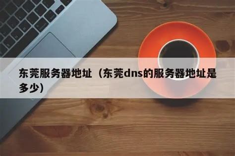 SEO服务商为企业网站优化带来哪些帮助？