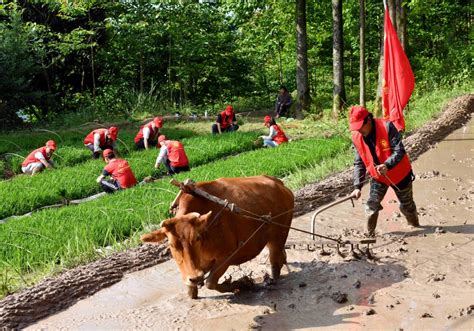 乡村振兴与乡村旅游 - 重庆伍度造设创意农业服务有限责任公司