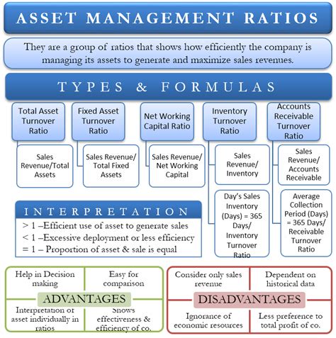 Asset Management | Definition, Services, Process, and Benefits