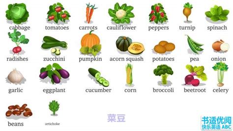 关于蔬菜的英语单词有哪些 ,关于蔬菜的英语单词有哪些 - 英语复习网